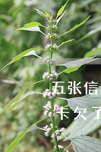 五张信用卡欠了十五万该怎么还-五张信用卡欠了十五万该怎么还款