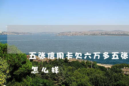 五张信用卡欠六万多(五张信用卡欠六万多会怎么样)