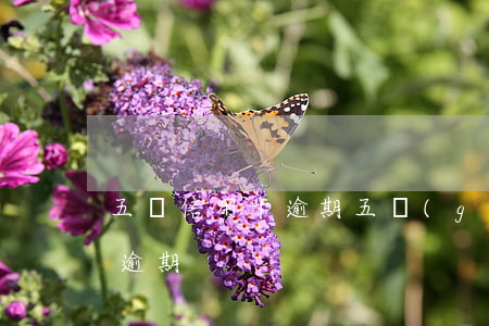 五張信用卡逾期五個(gè)月(信用卡5天逾期)