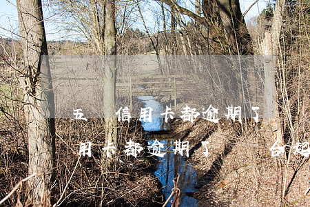 五張信用卡都逾期了會聯合起訴嗎-五張信用卡都逾期了會聯合起訴嗎怎么辦
