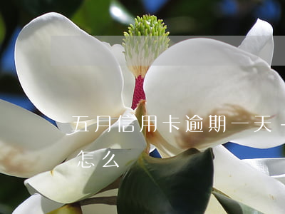 五月信用卡逾期一天-五月信用卡逾期一天怎么辦