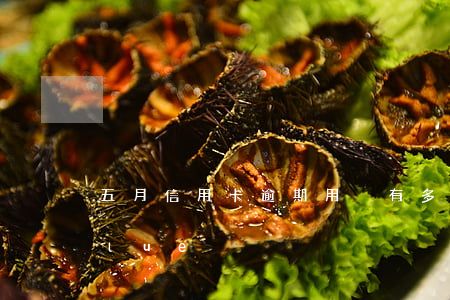 五月信用卡逾期用戶有多少(love me blue)