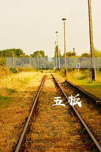 五板錢包預(yù)期只還本金