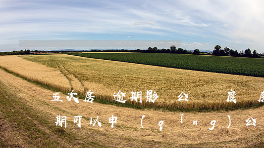 五次房貸逾期影響公貸額度嗎(房貸有5次逾期可以申請(qǐng)公積金貸款嗎)