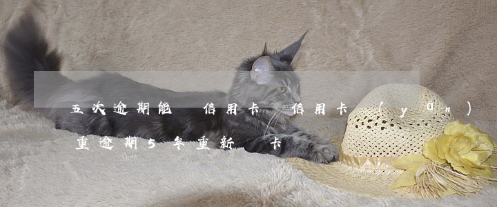 五次逾期能辦信用卡嗎(信用卡嚴(yán)重逾期5年重新辦卡)