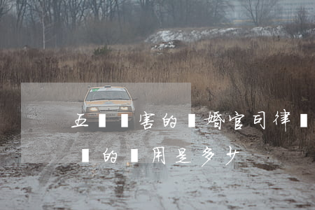 五種厲害的離婚官司律師費用(打離婚官司律師的費用是多少)