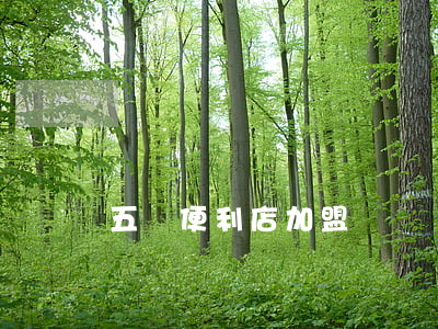 五緣便利店加盟