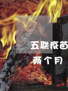 五联疫苗第三针逾期(五联疫苗第三针晚打了两个月)