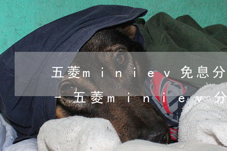 五菱miniev免息分期手續(xù)費-五菱mini ev分期