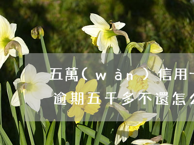 五萬(wàn)信用卡逾期未還利息(信用卡逾期五千多不還怎么辦)