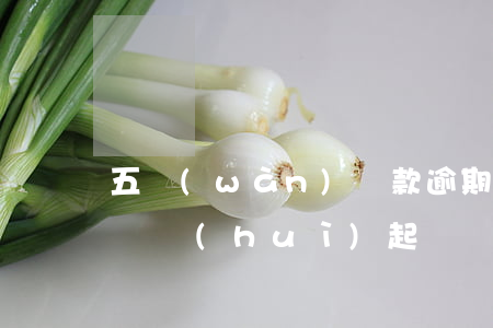 五萬(wàn)貸款逾期多少時(shí)間會(huì)起訴(貸款逾期五年了還可以起訴嗎)