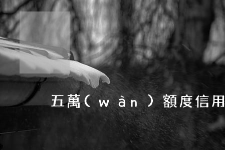 五萬(wàn)額度信用卡利息