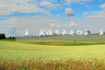 五萬五信用卡逾期(五萬五信用卡逾期了)