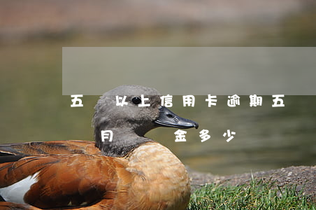 五萬以上信用卡逾期(五萬以上信用卡逾期每個月違約金多少)