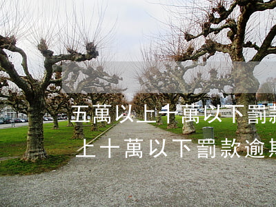 五萬以上十萬以下罰款逾期未改正-五萬以上十萬以下罰款逾期未改正怎么辦