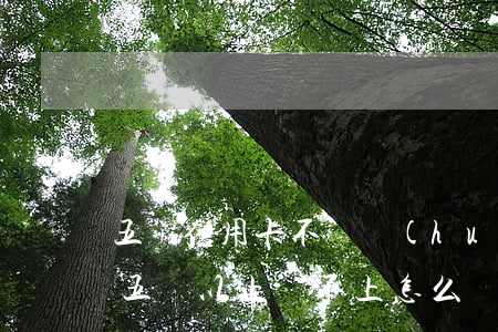 五萬信用卡不還會(huì)怎么樣(信用卡五萬以上還不上怎么辦)