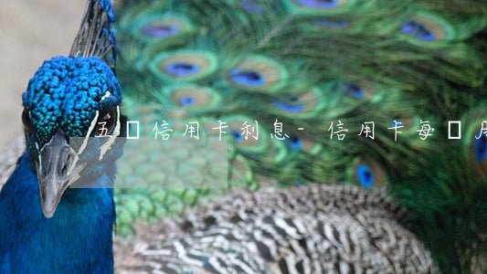 五萬信用卡利息-信用卡每個月利息多少