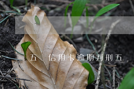五萬信用卡逾期判刑(五萬信用卡逾期判刑嗎)