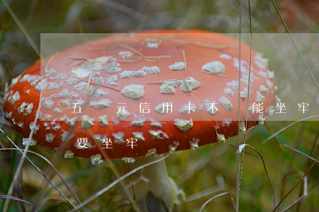 五萬元信用卡不還能坐牢嗎(拖欠信用卡5萬要坐牢嗎)