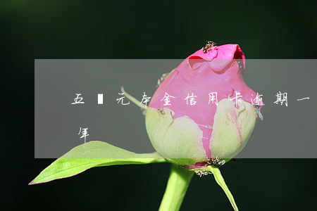 五萬元本金信用卡逾期(一萬元信用卡逾期五年)