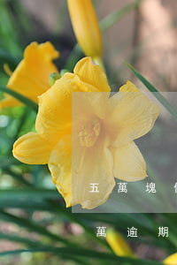 五萬塊信用卡逾期一年費用多少(欠信用卡5萬逾期一年)