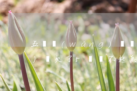 五萬網(wǎng)貸還不起 網(wǎng)貸欠了5萬還不起怎么辦
