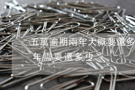 五萬逾期兩年大概要還多少(貸款5萬逾期兩年需要還多少)