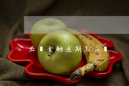 五葉金融逾期怎么辦