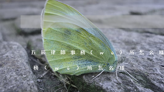 五辰律師事務(wù)所怎么樣(辰中律師事務(wù)所怎么樣)