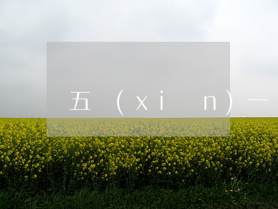 五險(xiǎn)一個(gè)月要交多少錢