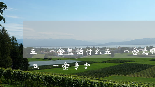 五險一金包括什么五險一金是哪五險哪一金（五險一金多少錢）