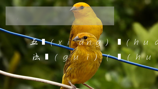 五項(xiàng)環(huán)保法律法規(guī)(環(huán)保法律法規(guī)有哪些)