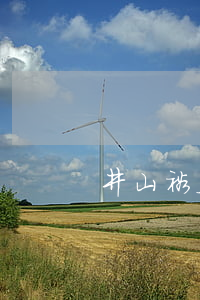 井山裕太离婚