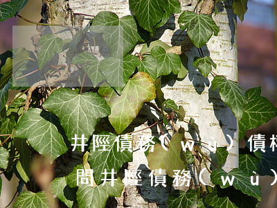 井陘債務(wù)債權(quán)律師顧問(井陘債務(wù)債權(quán)律師顧問電話號碼)