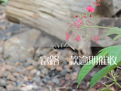 亞富路貸款逾期催收