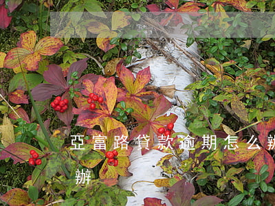 亞富路貸款逾期怎么辦(亞富路貸款逾期怎么辦)