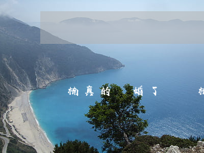 亞楠真的離婚了嗎(亞楠的簡歷)