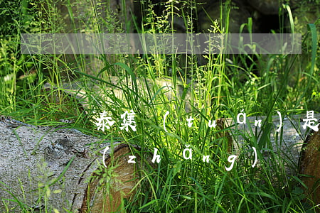 亞泰集團(tuán)是做什么的(亞泰董事長(zhǎng))