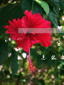 亞馬遜分期付款免息嗎(亞馬遜分期付款免息嗎怎么操作)