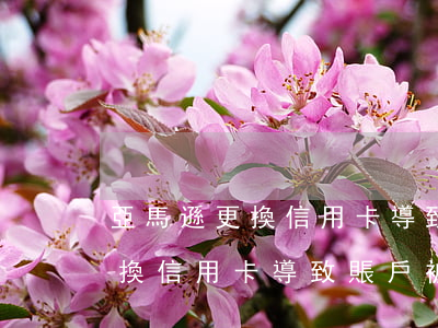 亞馬遜更換信用卡導致賬戶被停-亞馬遜更換信用卡導致賬戶被停用怎么辦