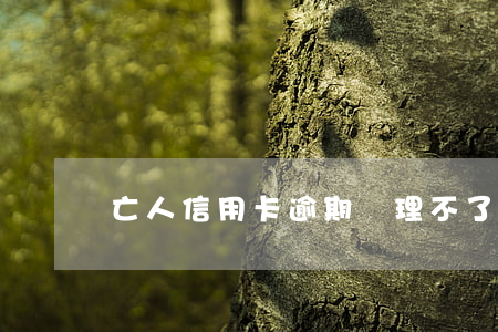 亡人信用卡逾期處理不了(信用卡逾期人死了)