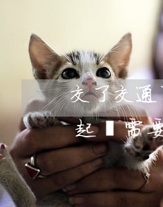 交了交通事故訴訟費多久可以開庭(交通事故起訴需要多長時間)