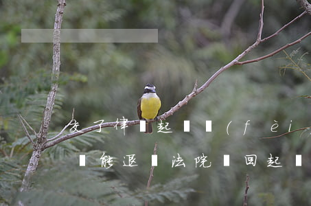 交了律師起訴費(fèi)沒(méi)上訴能退嗎(法院駁回起訴,律師費(fèi)退嗎)