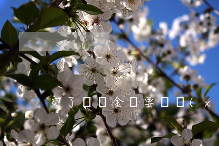 交了違約金還要繼續(xù)履行合同嗎