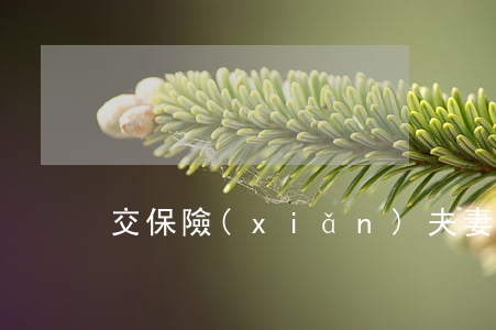 交保險(xiǎn)夫妻互保離婚怎么辦