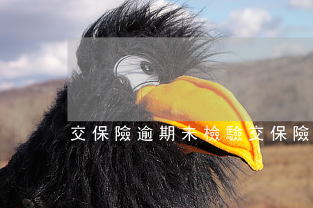 交保險逾期未檢驗(交保險逾期未檢驗怎么辦)