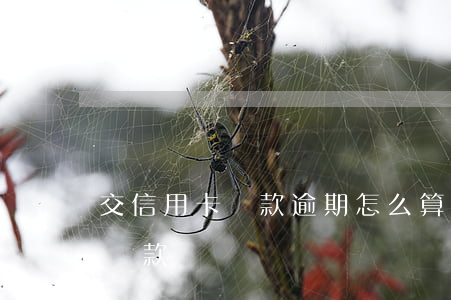 交信用卡還款逾期怎么算(什么是信用卡逾期還款)
