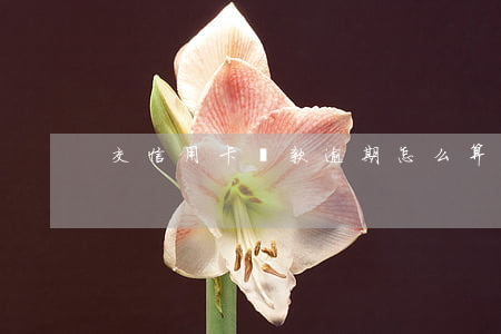 交信用卡還款逾期怎么算的