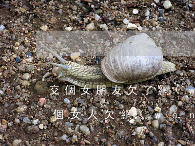 交個女朋友欠了網(wǎng)貸十多萬(一個女人欠網(wǎng)貸20多萬)