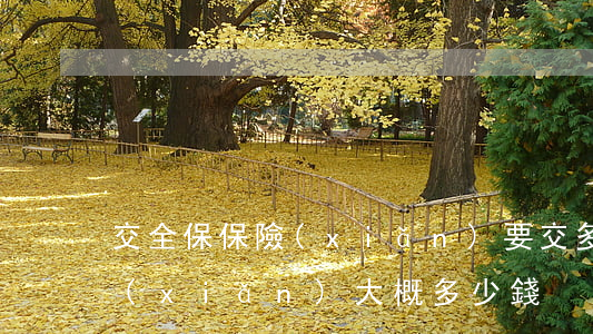 交全保保險(xiǎn)要交多少錢(全保險(xiǎn)大概多少錢)
